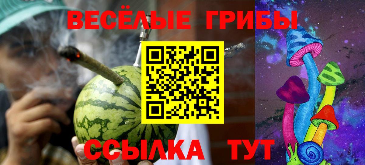 Каменск-Уральский  Галлюциногенные грибы Psilocybine cubensis  Вход с VPN 