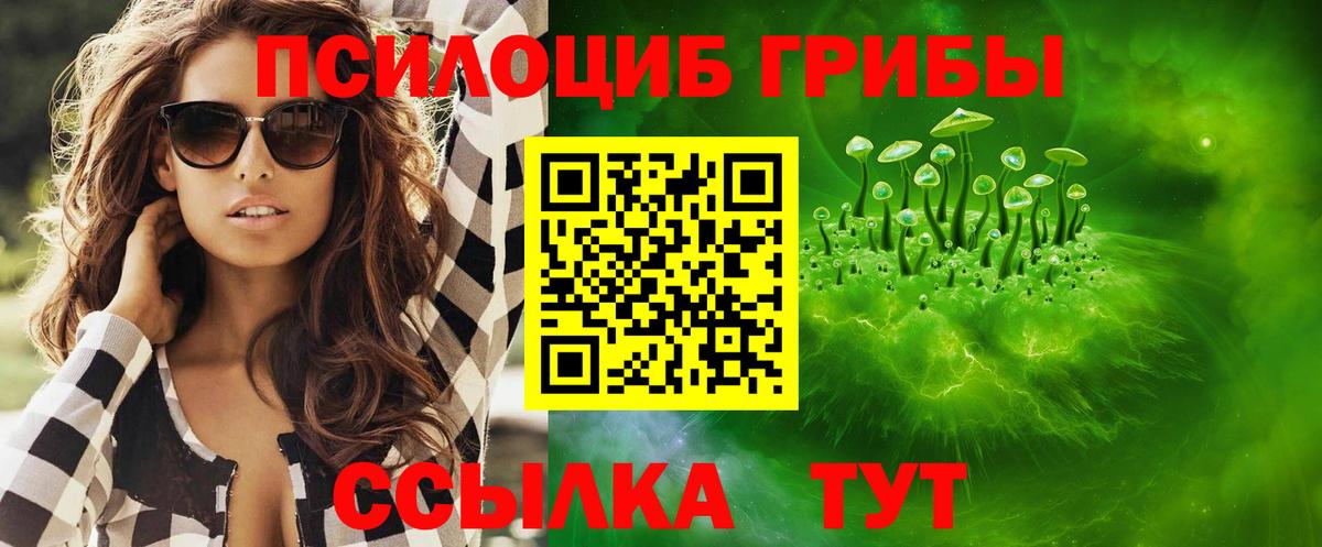 Псилоцибиновые грибы GOLDEN TEACHER Каменск-Уральский